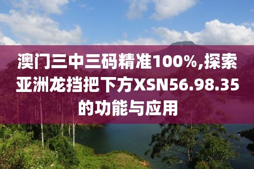 澳门三中三码精准100%,探索亚洲龙挡把下方XSN56.98.35的功能与应用