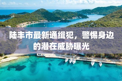 陆丰市最新通缉犯，警惕身边的潜在威胁曝光