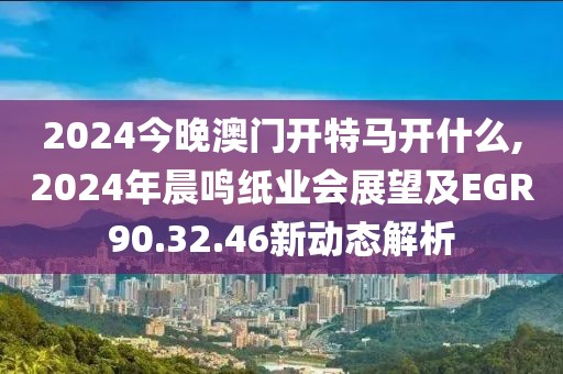 2024今晚澳门开特马开什么,2024年晨鸣纸业会展望及EGR90.32.46新动态解析