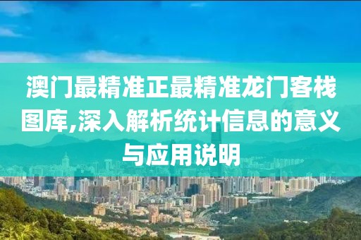 澳门最精准正最精准龙门客栈图库,深入解析统计信息的意义与应用说明