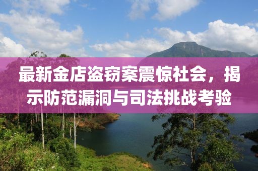 最新金店盗窃案震惊社会，揭示防范漏洞与司法挑战考验