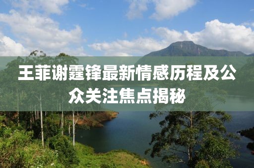 王菲谢霆锋最新情感历程及公众关注焦点揭秘
