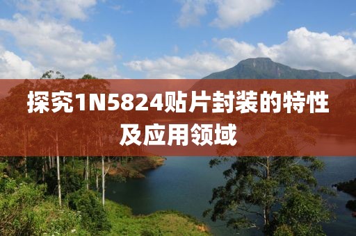 探究1N5824贴片封装的特性及应用领域