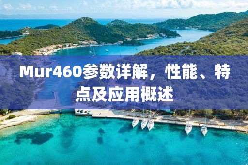 Mur460参数详解，性能、特点及应用概述