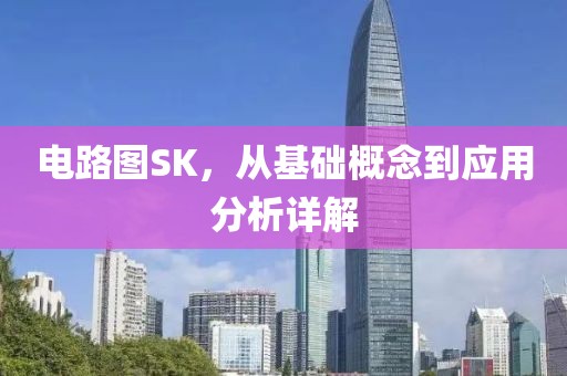 电路图SK，从基础概念到应用分析详解
