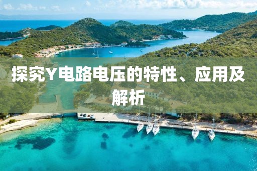 襟上花 第76页