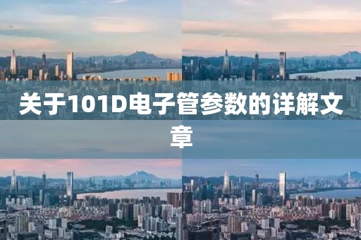 关于101D电子管参数的详解文章