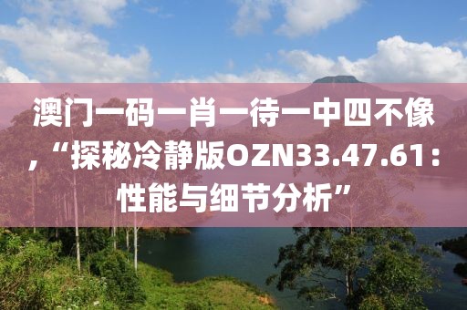 澳门一码一肖一待一中四不像,“探秘冷静版OZN33.47.61：性能与细节分析”