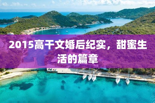 2015高干文婚后纪实，甜蜜生活的篇章