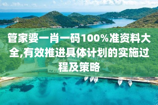 管家婆一肖一码100%准资料大全,有效推进具体计划的实施过程及策略