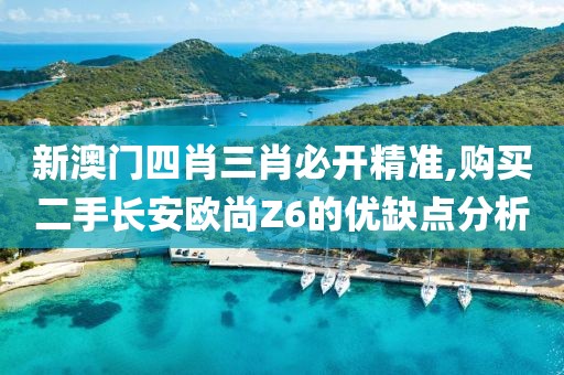新澳门四肖三肖必开精准,购买二手长安欧尚Z6的优缺点分析