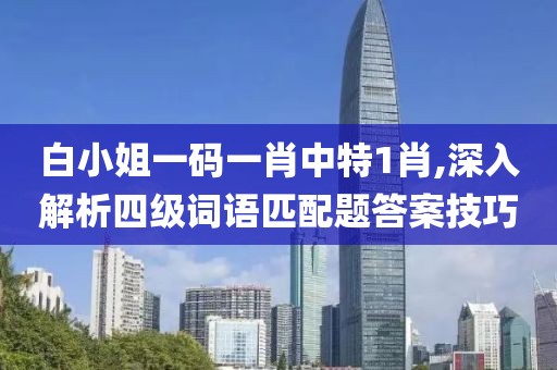 白小姐一码一肖中特1肖,深入解析四级词语匹配题答案技巧