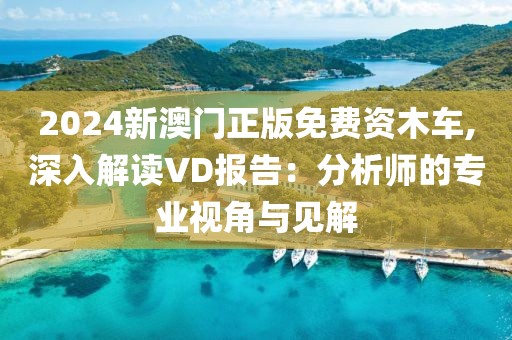 2024新澳门正版免费资木车,深入解读VD报告：分析师的专业视角与见解