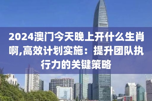 2024澳门今天晚上开什么生肖啊,高效计划实施：提升团队执行力的关键策略