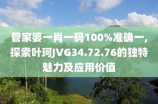 管家婆一肖一码100%准确一,探索叶珂JVG34.72.76的独特魅力及应用价值