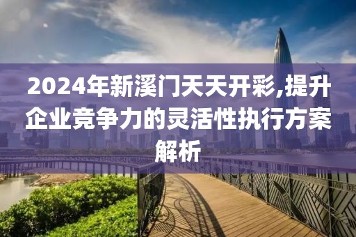 2024年新溪门天天开彩,提升企业竞争力的灵活性执行方案解析