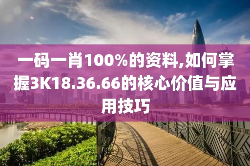 一码一肖100%的资料,如何掌握3K18.36.66的核心价值与应用技巧