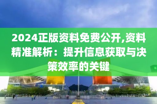 2024正版资料免费公开,资料精准解析：提升信息获取与决策效率的关键