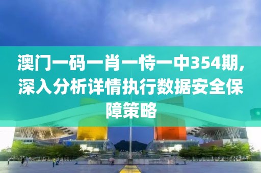 澳门一码一肖一恃一中354期,深入分析详情执行数据安全保障策略