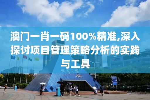 澳门一肖一码100%精准,深入探讨项目管理策略分析的实践与工具