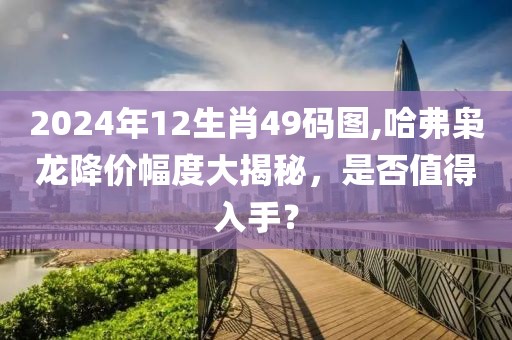 2024年12生肖49码图,哈弗枭龙降价幅度大揭秘，是否值得入手？
