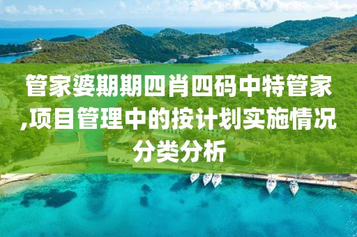 管家婆期期四肖四码中特管家,项目管理中的按计划实施情况分类分析