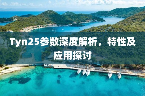 Tyn25参数深度解析，特性及应用探讨