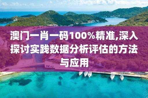 澳门一肖一码100%精准,深入探讨实践数据分析评估的方法与应用