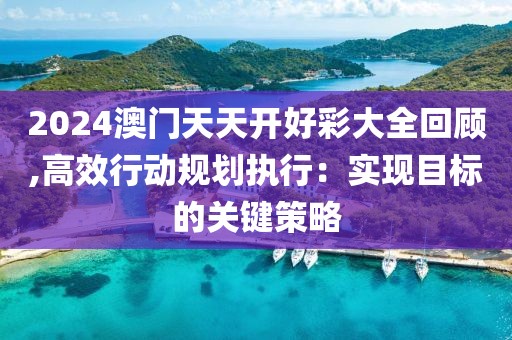 2024澳门天天开好彩大全回顾,高效行动规划执行：实现目标的关键策略