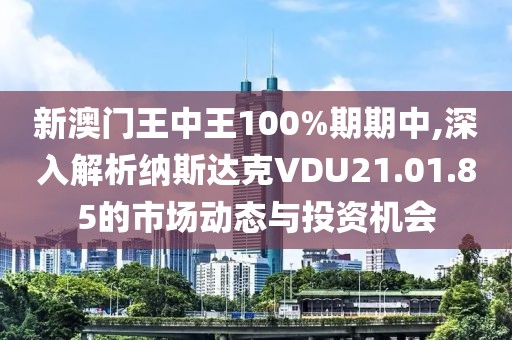 新澳门王中王100%期期中,深入解析纳斯达克VDU21.01.85的市场动态与投资机会