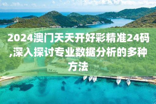 2024澳门天天开好彩精准24码,深入探讨专业数据分析的多种方法