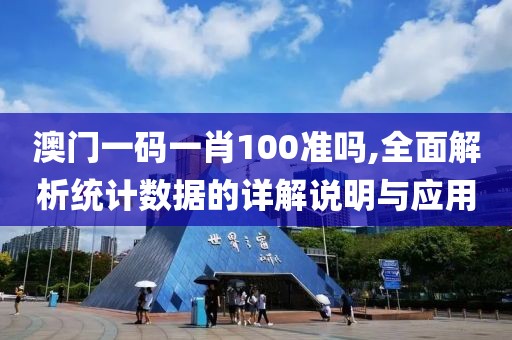 澳门一码一肖100准吗,全面解析统计数据的详解说明与应用