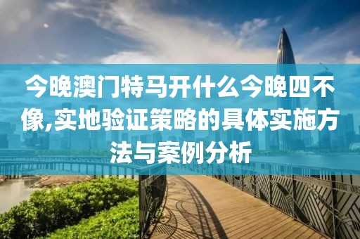 今晚澳门特马开什么今晚四不像,实地验证策略的具体实施方法与案例分析