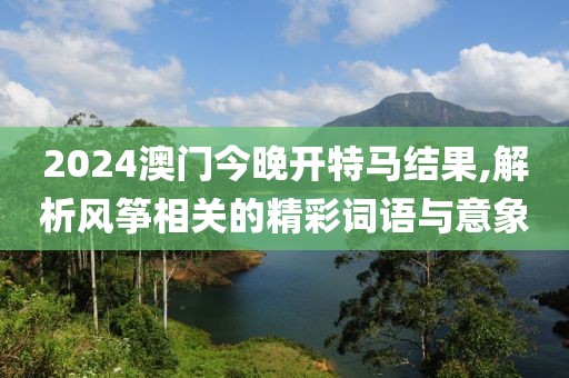2024澳门今晚开特马结果,解析风筝相关的精彩词语与意象