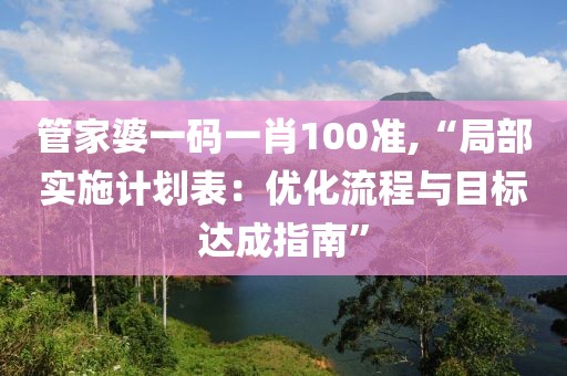 管家婆一码一肖100准,“局部实施计划表：优化流程与目标达成指南”
