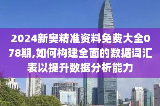 2024新奥精准资料免费大全078期,如何构建全面的数据词汇表以提升数据分析能力