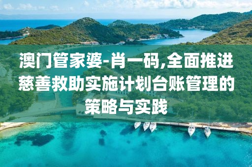 澳门管家婆-肖一码,全面推进慈善救助实施计划台账管理的策略与实践