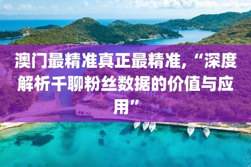 澳门最精准真正最精准,“深度解析千聊粉丝数据的价值与应用”
