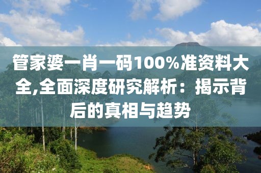 管家婆一肖一码100%准资料大全,全面深度研究解析：揭示背后的真相与趋势