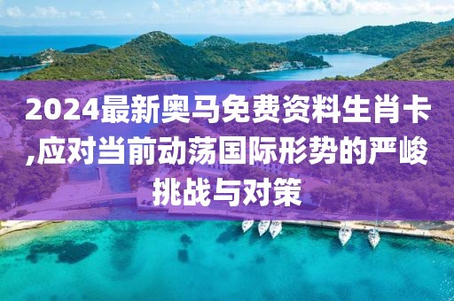 2024最新奥马免费资料生肖卡,应对当前动荡国际形势的严峻挑战与对策