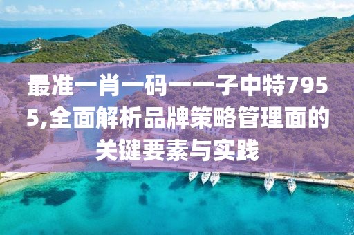 最准一肖一码一一子中特7955,全面解析品牌策略管理面的关键要素与实践