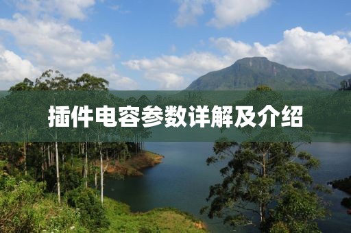 插件电容参数详解及介绍