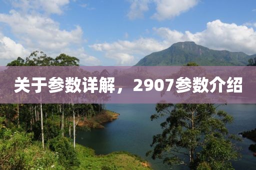 关于参数详解，2907参数介绍
