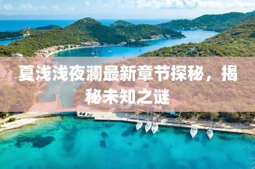 夏浅浅夜澜最新章节探秘，揭秘未知之谜