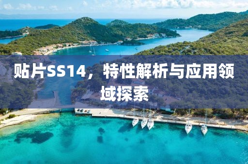 贴片SS14，特性解析与应用领域探索