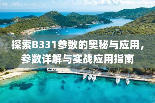探索B331参数的奥秘与应用，参数详解与实战应用指南