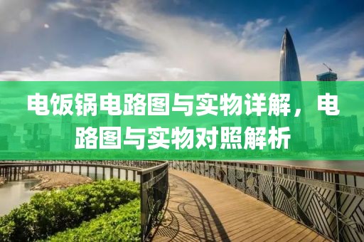 电饭锅电路图与实物详解，电路图与实物对照解析