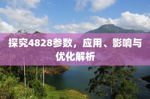 探究4828参数，应用、影响与优化解析