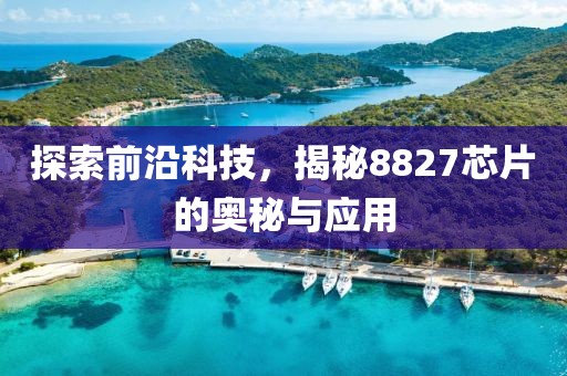 探索前沿科技，揭秘8827芯片的奥秘与应用
