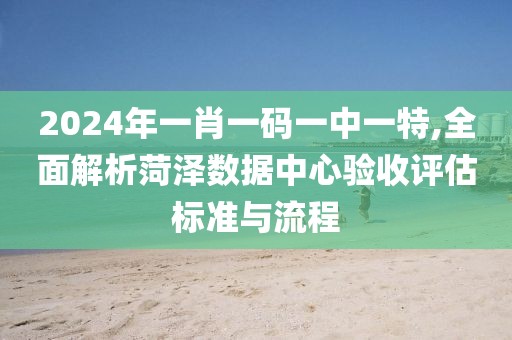 2024年一肖一码一中一特,全面解析菏泽数据中心验收评估标准与流程